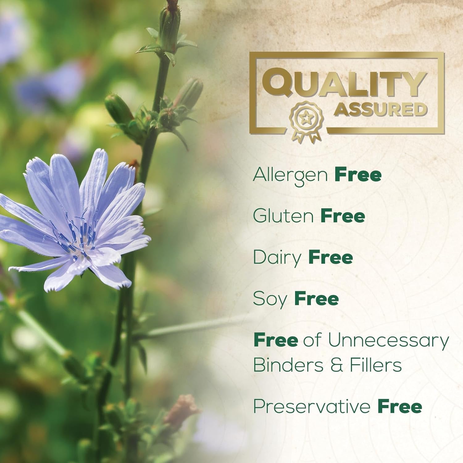 Akkermansia Probiotic Supplement with Prebiotic Fiber for Digestive Health - 120 Capsules