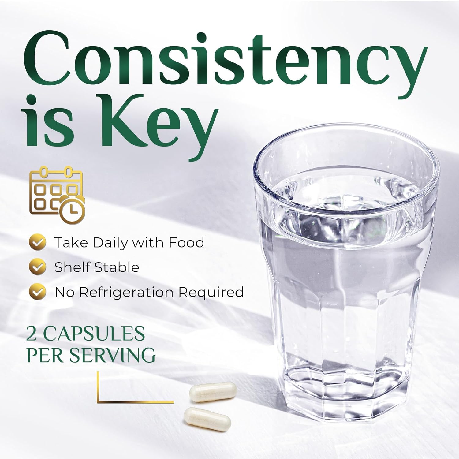 Akkermansia Probiotic Supplement with Prebiotic Fiber for Digestive Health - 120 Capsules