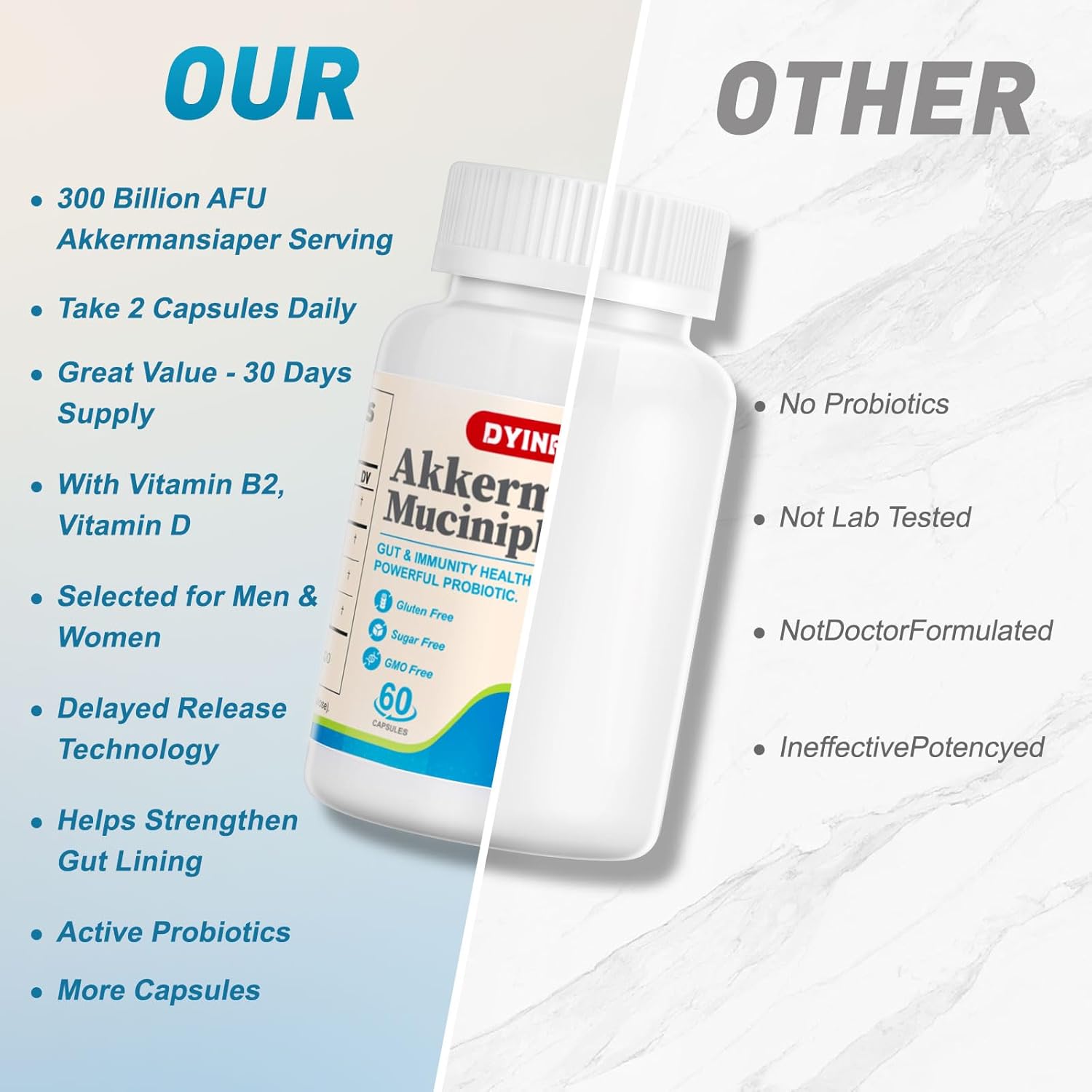 Akkermansia Probiotic with 300 Billion AFU for Digestive & Immune Health - 60 Capsules