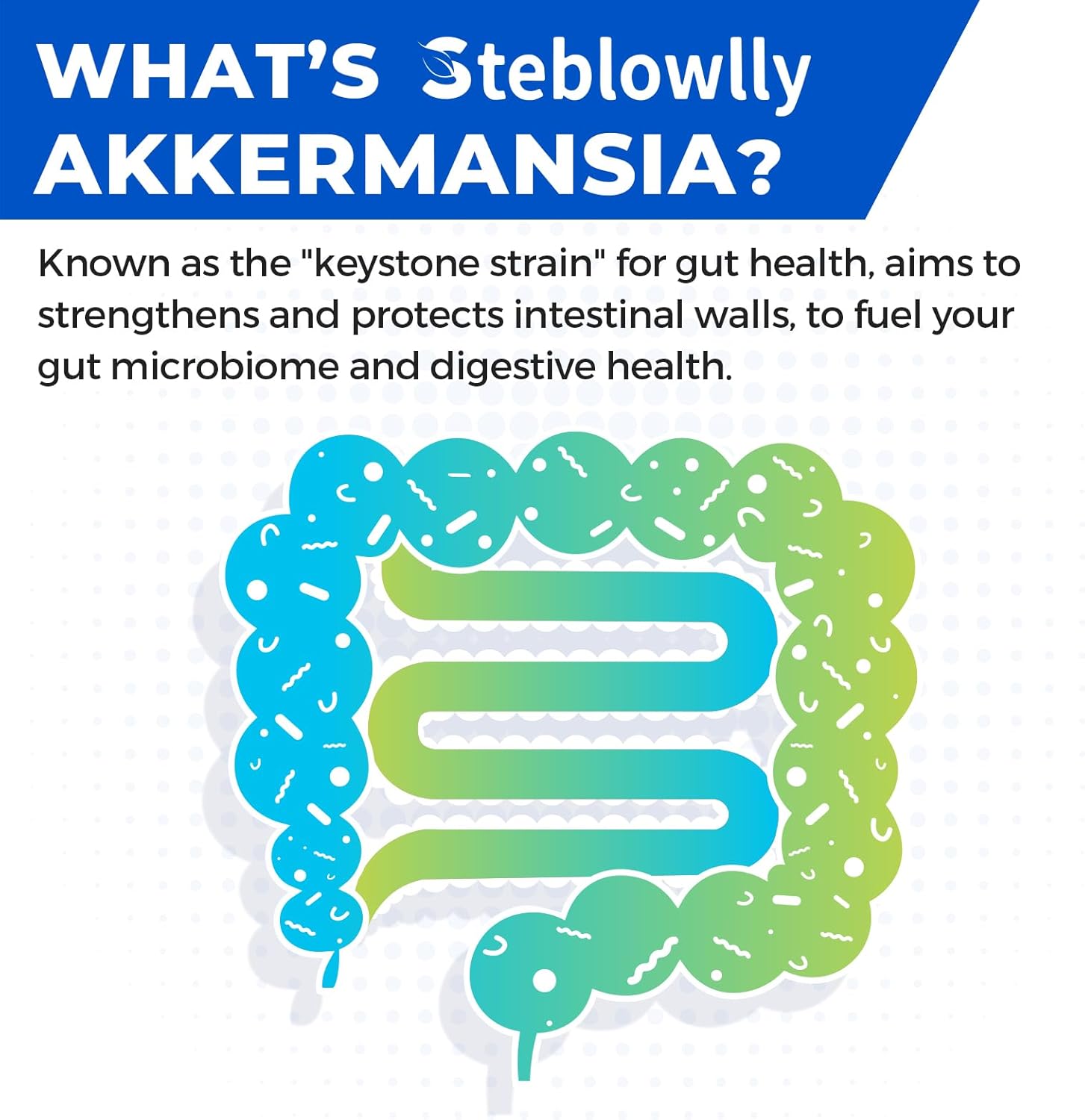 Akkermansia Probiotic with GLP-1 for Gut Health, Digestive and Metabolic Support - 60 Capsules