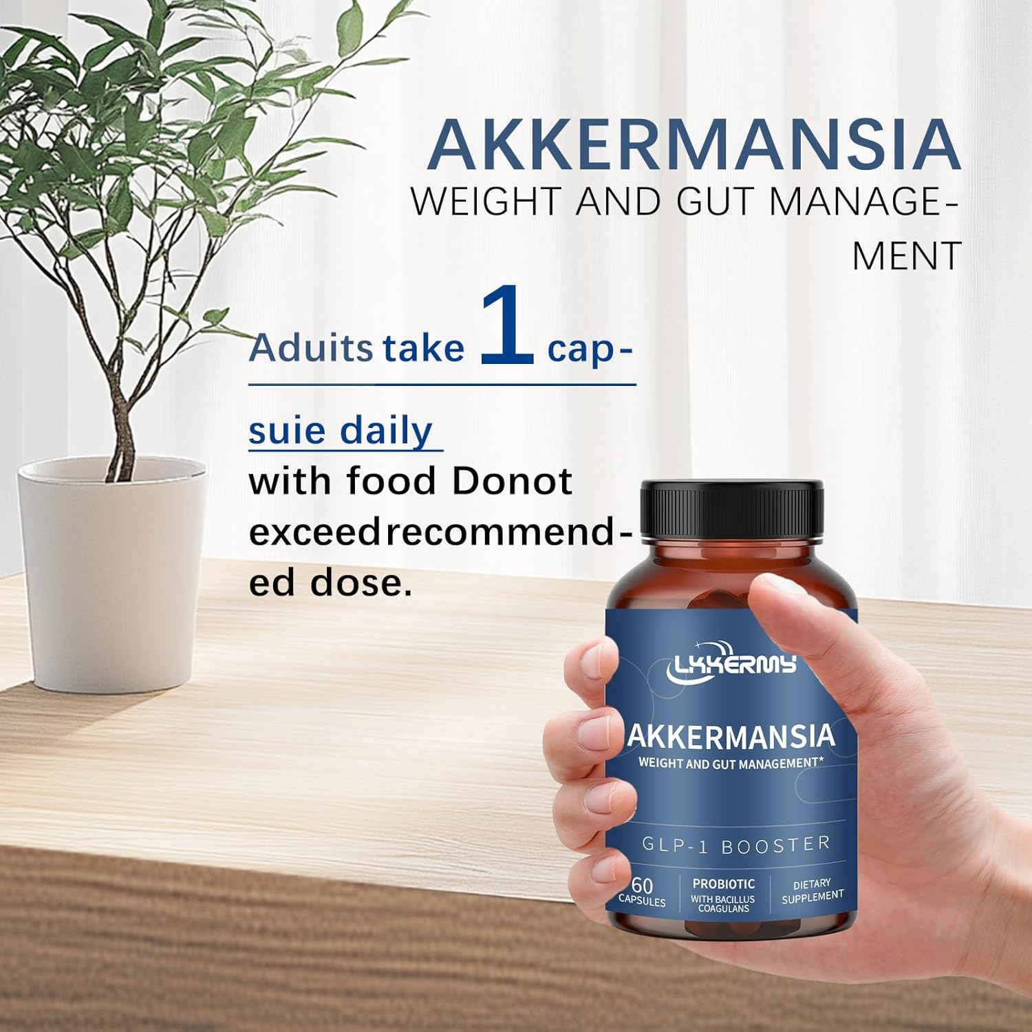 Akkermansia Supplement for Gut Health - Unisex Formula - 1 Pack