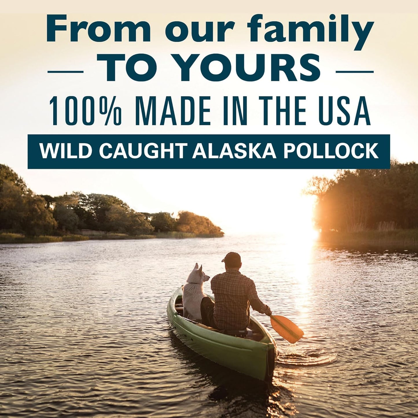 Alaska Naturals Wild Alaskan Fish Oil for Dogs - Omega 3 Dog Supplements - Supports Skin, Coat, Brain Health - Natural Liquid Topper - 8 oz. Pump