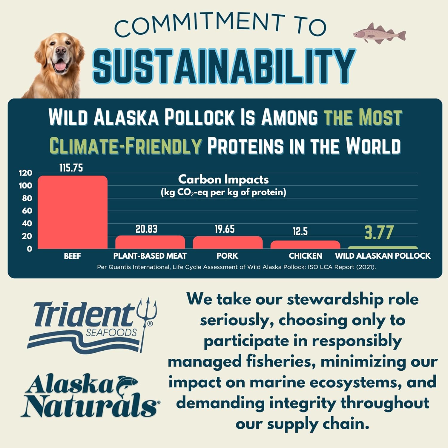 Alaska Naturals Wild Alaskan Fish Oil Supplement for Dogs Skin and Coat - EPA DHA Omega 3 Fatty Acids Liquid Topper 15.5 oz. Pump - Sustainable