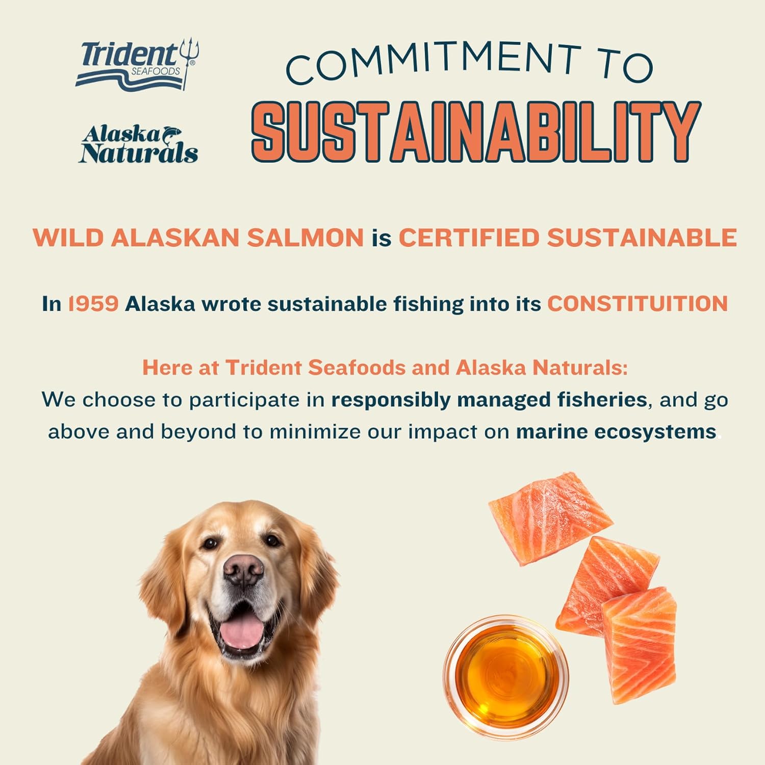 Alaska Naturals Wild Alaskan Salmon Fish Oil Supplement for Dogs Skin and Coat - Liquid Food Topper with EPA DHA Omega 3 Fatty Acids - 15.5 oz. Pump