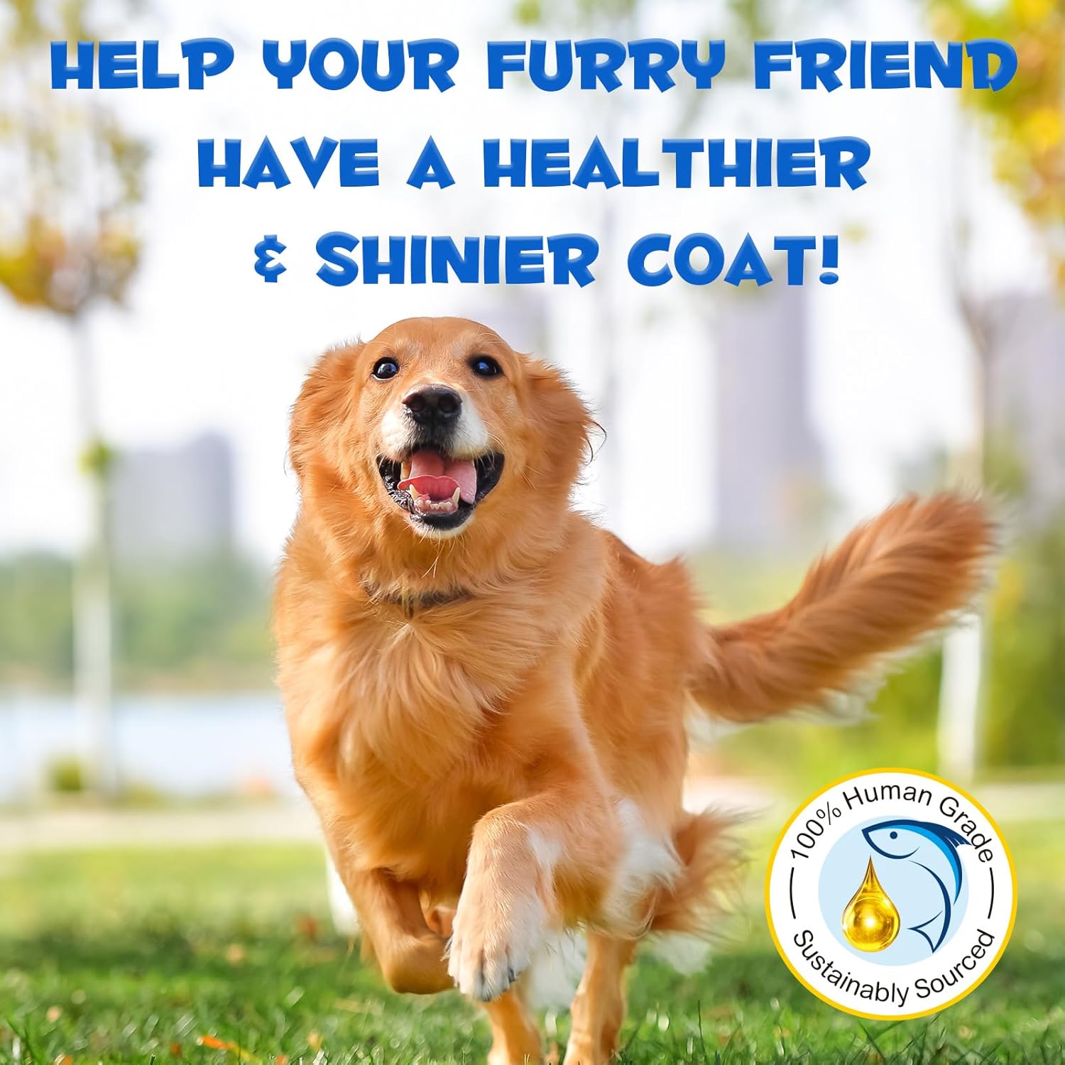 Alaskan Salmon Oil for Dogs & Cats - 8.8 oz Pure Omega 3 Fish Oil with Omega 6 Fatty Acids, EPA & DHA - Anti-inflammatory Skin & Coat Supplement for Pets