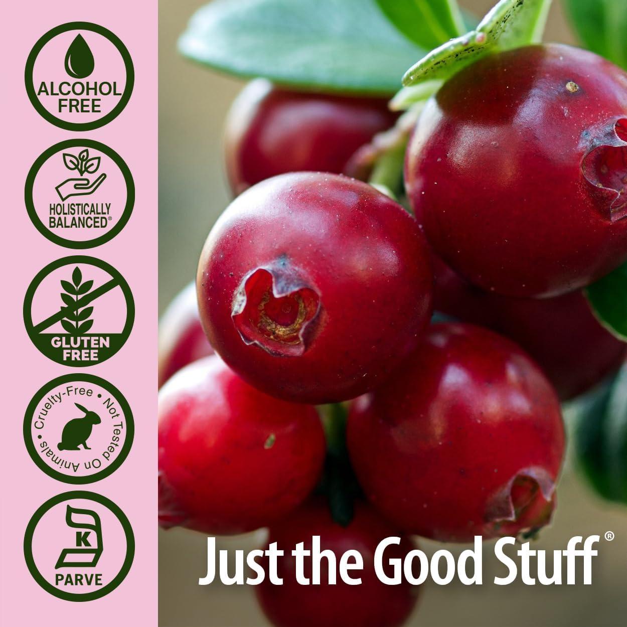 Alcohol-Free Cranberry Extract - Potent 10,000 mg Fresh Cranberry - 1 Fluid oz.