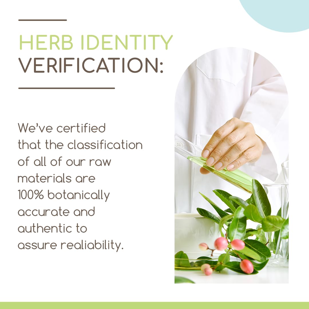 Alcohol-Free Female Hair Growth Tincture with Rosemary, Stinging Nettle, and Reishi - 2 fl oz