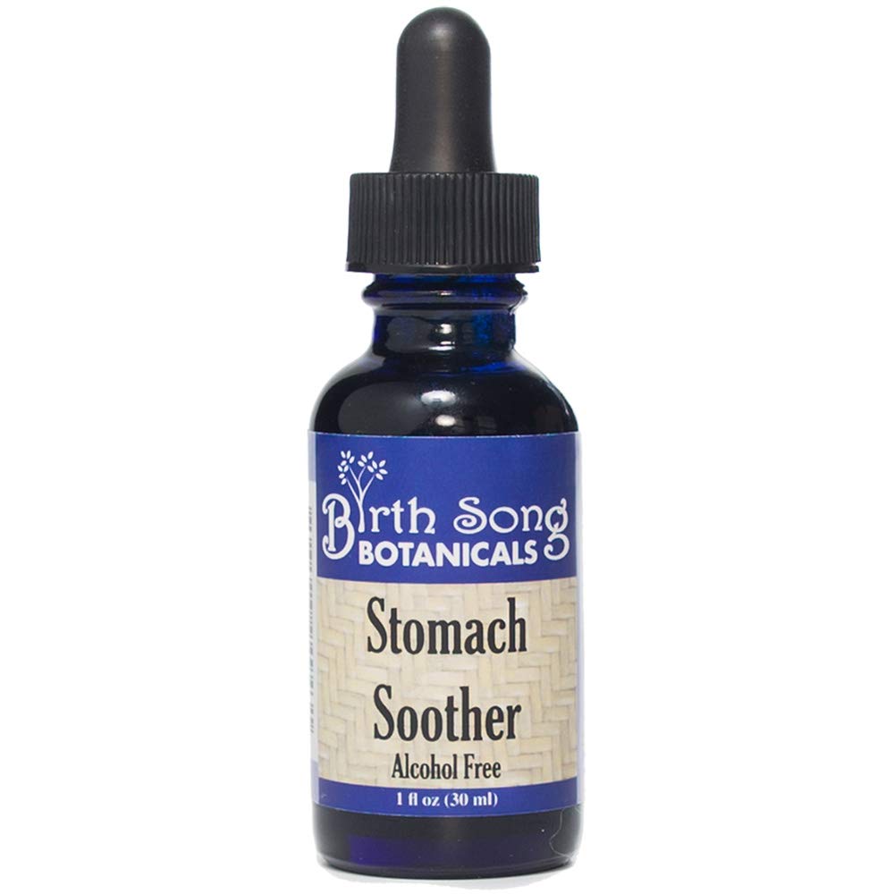 Alcohol-Free Herbal Ginger Root Stomach Soother Tincture by Birth Song Botanicals - 1oz Bottle