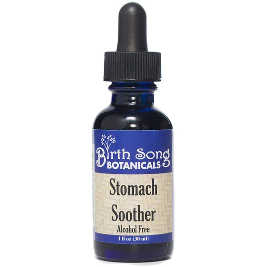Alcohol-Free Herbal Ginger Root Stomach Soother Tincture by Birth Song Botanicals - 1oz Bottle