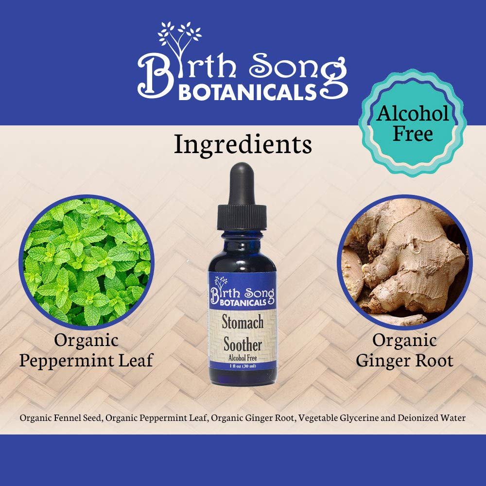Alcohol-Free Herbal Ginger Root Stomach Soother Tincture by Birth Song Botanicals - 1oz Bottle