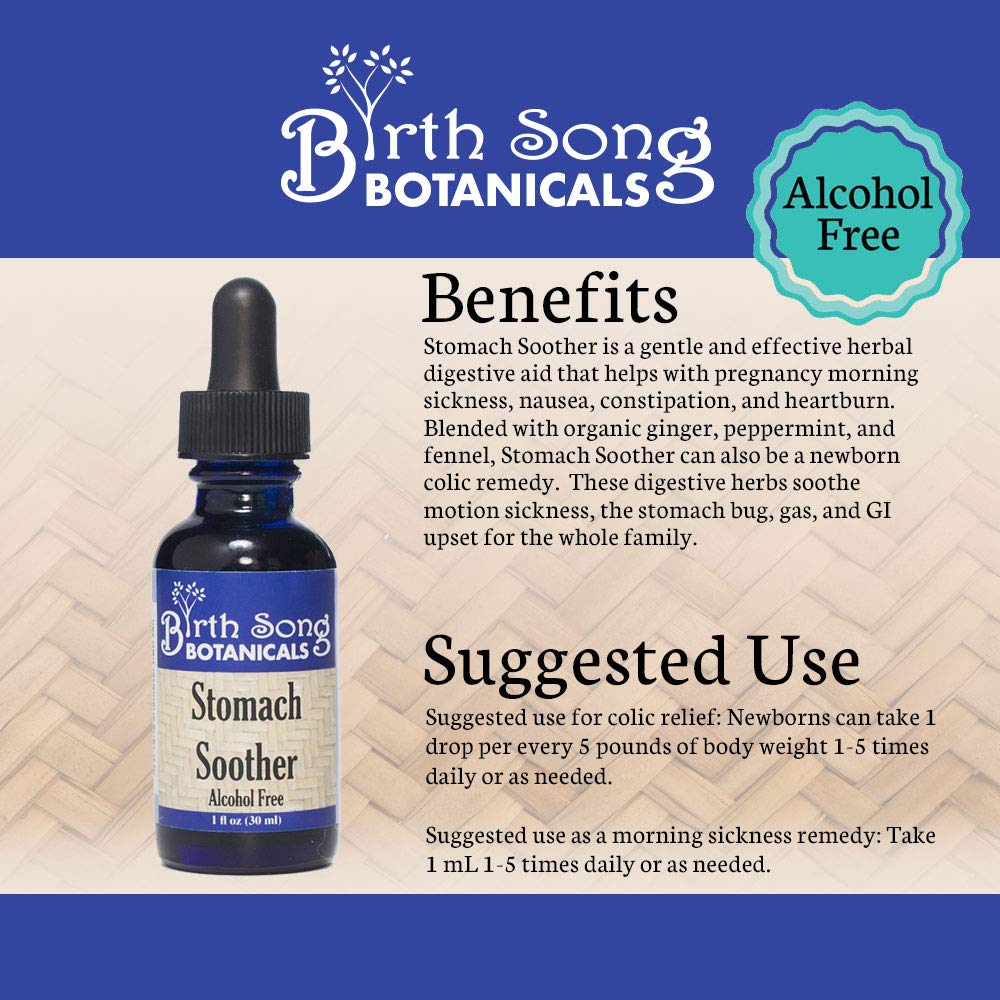 Alcohol-Free Herbal Ginger Root Stomach Soother Tincture by Birth Song Botanicals - 1oz Bottle