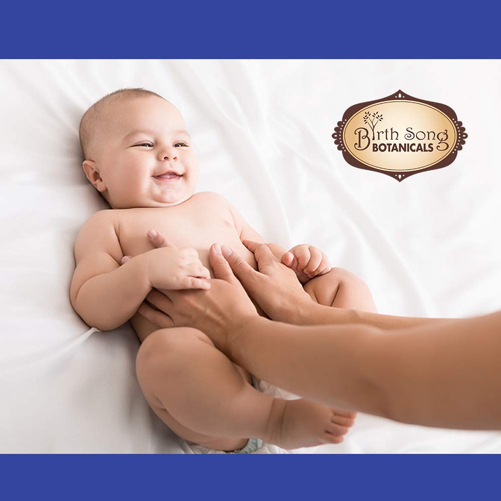 Alcohol-Free Herbal Ginger Root Stomach Soother Tincture by Birth Song Botanicals - 1oz Bottle