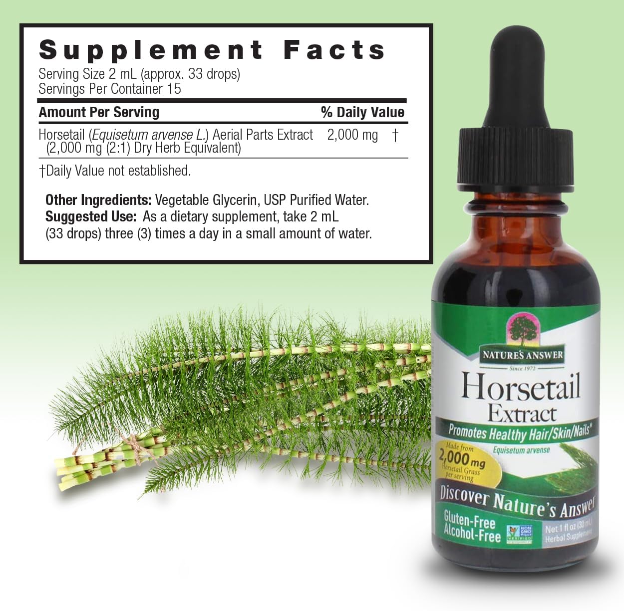 Alcohol-Free Horsetail Herb Extract 1oz Supplement | Supports Hair, Skin, Nails | Promotes Urinary Tract & Joint Health
