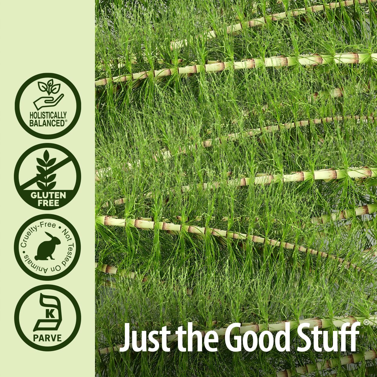 Alcohol-Free Horsetail Herb Extract 1oz Supplement | Supports Hair, Skin, Nails | Promotes Urinary Tract & Joint Health