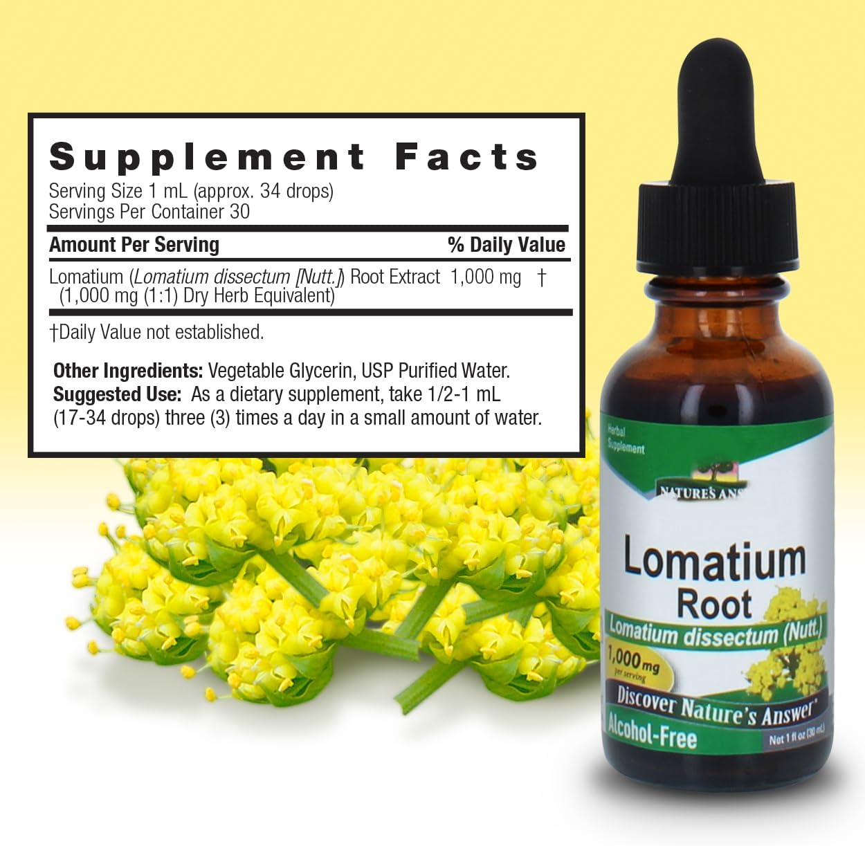 Alcohol-Free Nature's Answer Lomatium Root Herbal Extract - 1000 mg, Gluten-Free, 1 fl oz (2 Pack)