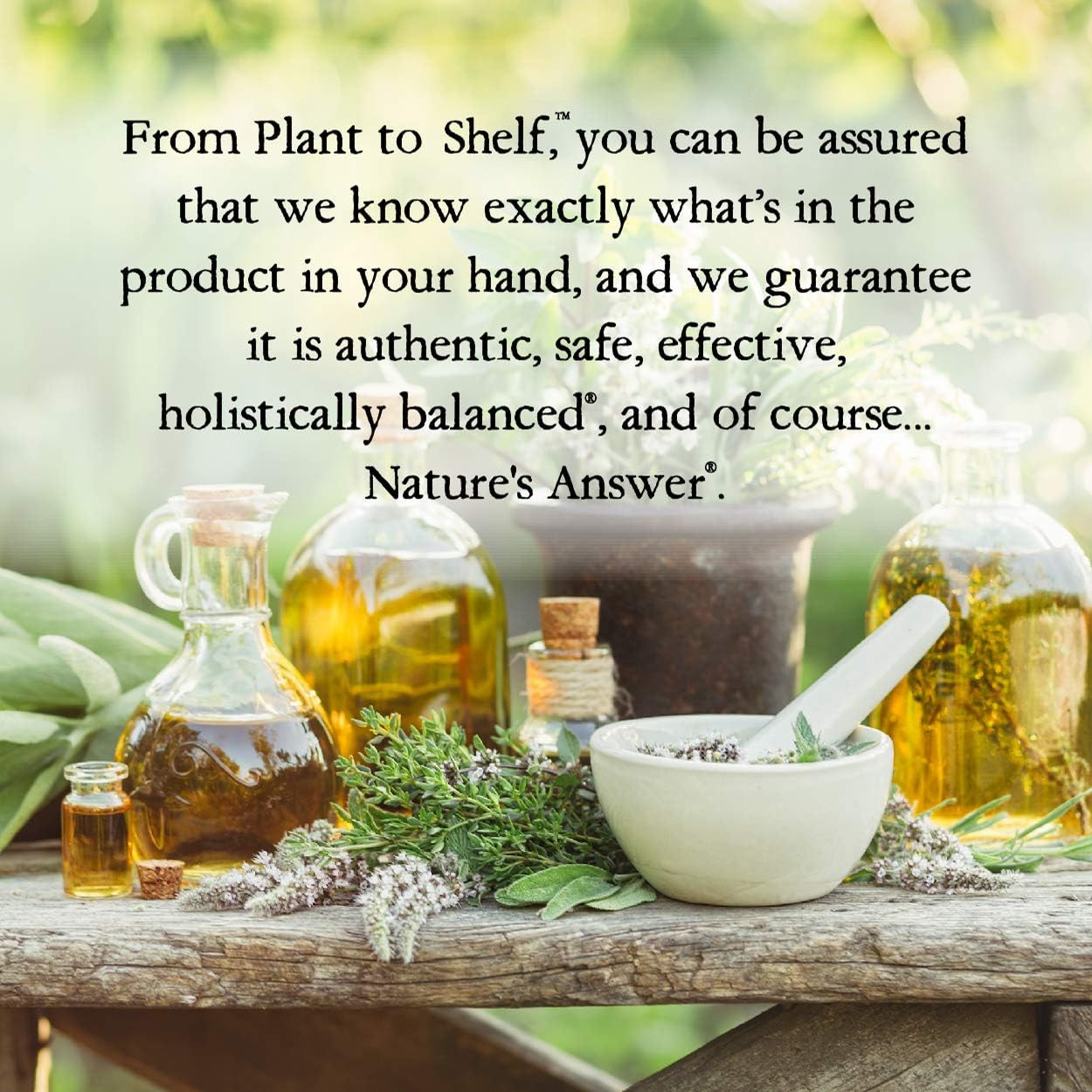 Alcohol-Free Nature's Answer Lomatium Root Herbal Extract - 1000 mg, Gluten-Free, 1 fl oz (2 Pack)