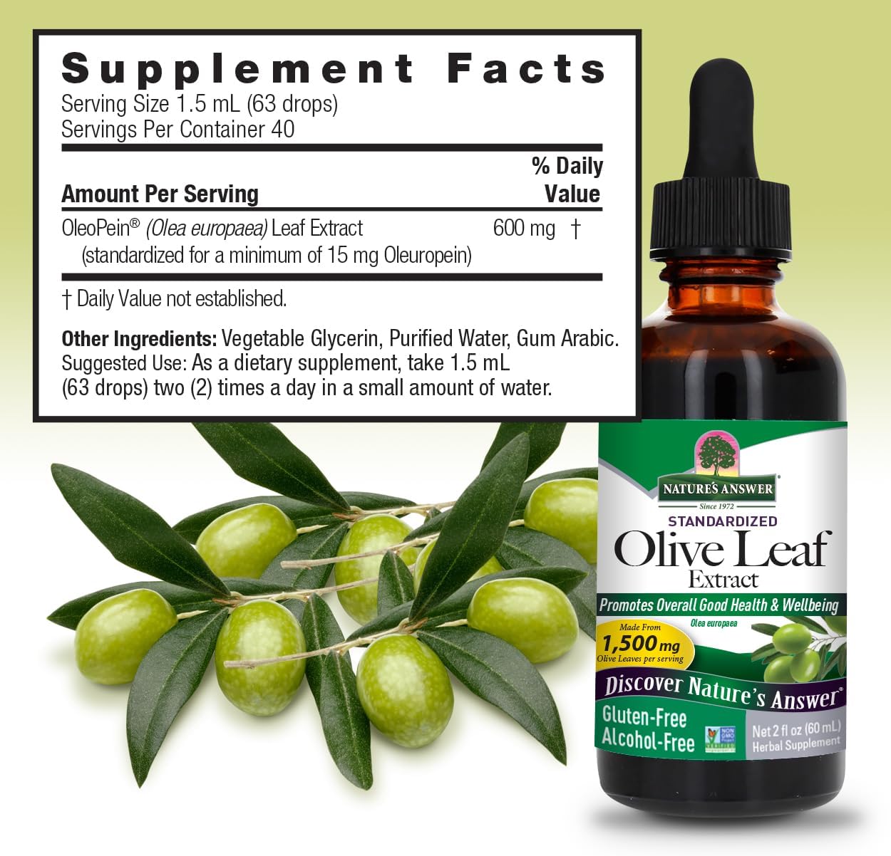 Alcohol-Free Olive Leaf Extract for Wellness, Non-GMO, Vegan, Gluten-Free, Made in USA - 2 Ounce