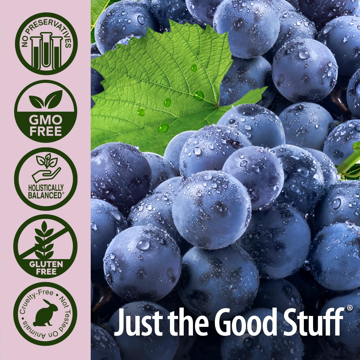 Alcohol-Free Resveratrol Reserve Liquid Concentrate 5oz - Antioxidant-Rich Wellness Booster for Immune Support