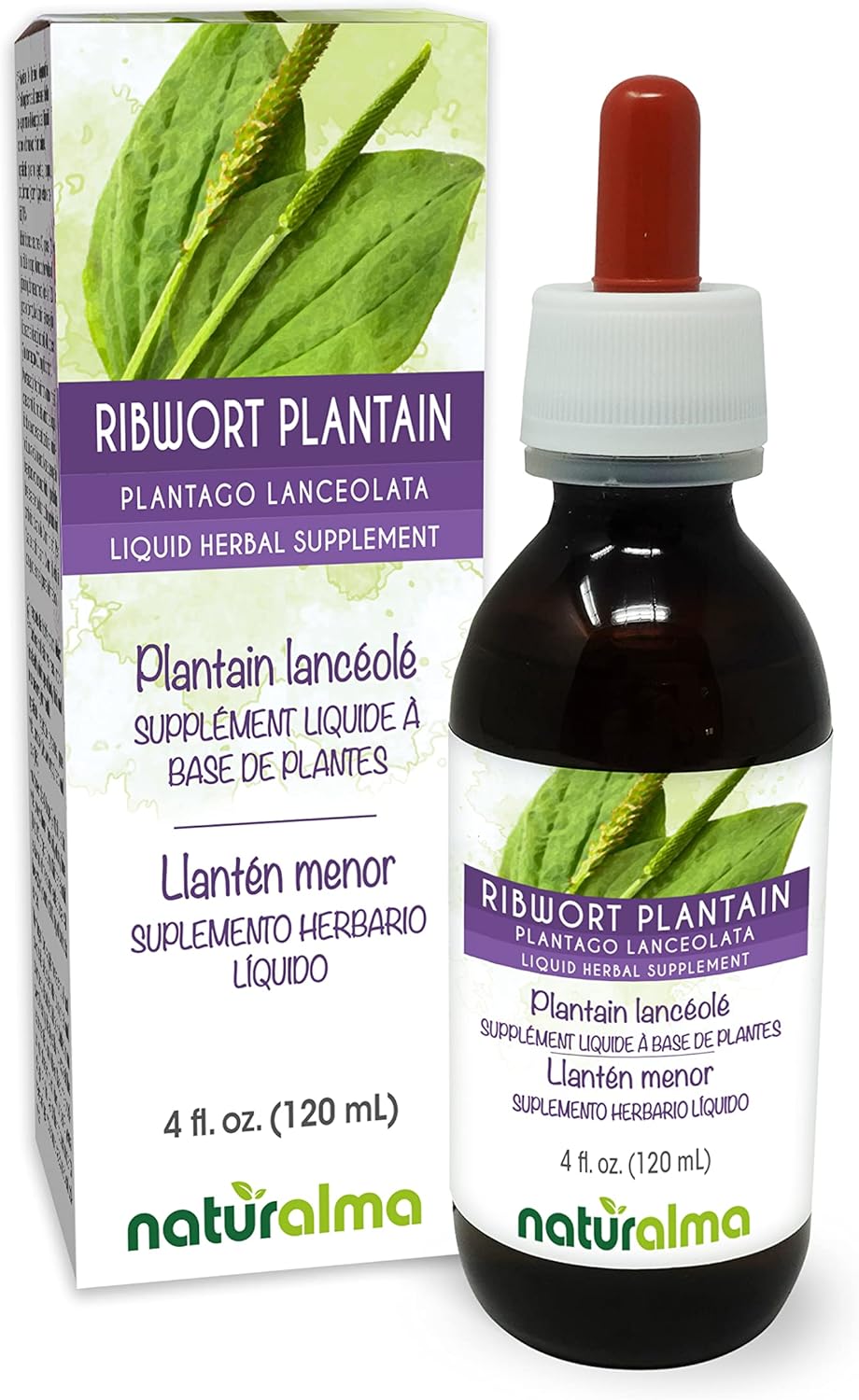 Alcohol-Free Ribwort Plantain Leaf Tincture - 4 fl oz Liquid Extract Drops - Herbal Supplement Vegan - Plantago Lanceolata