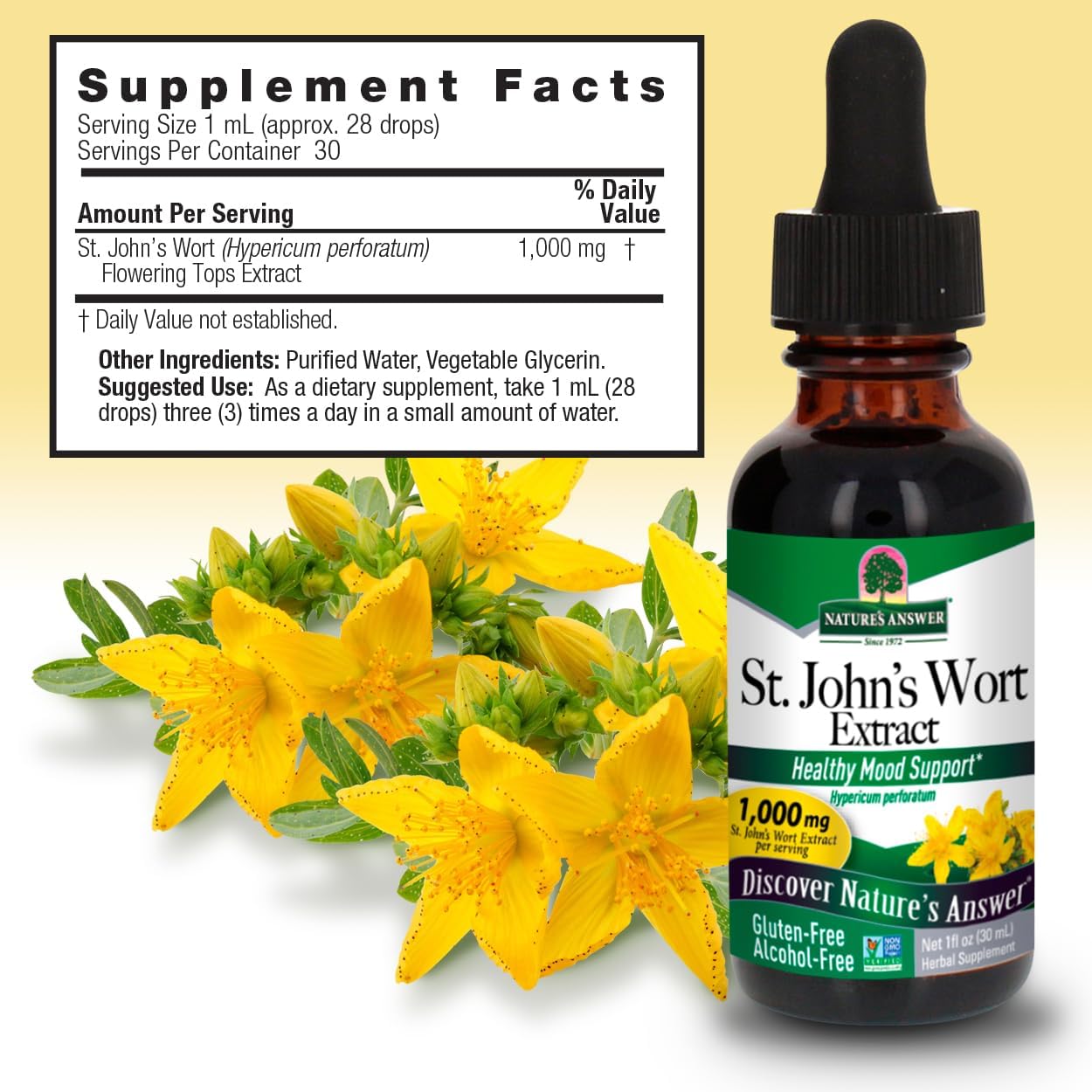 Alcohol-Free St. John's Wort Liquid Extract for Healthy Mood Support - Non-GMO, Kosher & Gluten-Free 1oz