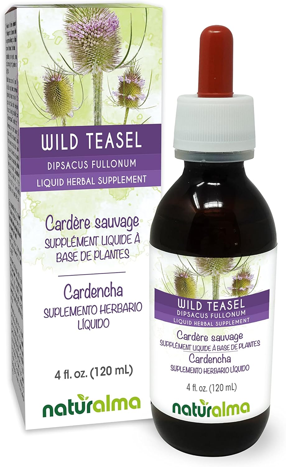 Alcohol-Free Wild Teasel Root Tincture - 4 fl oz Liquid Extract - Herbal Supplement - Vegan - Dipsacus fullonum or D. sylvestris