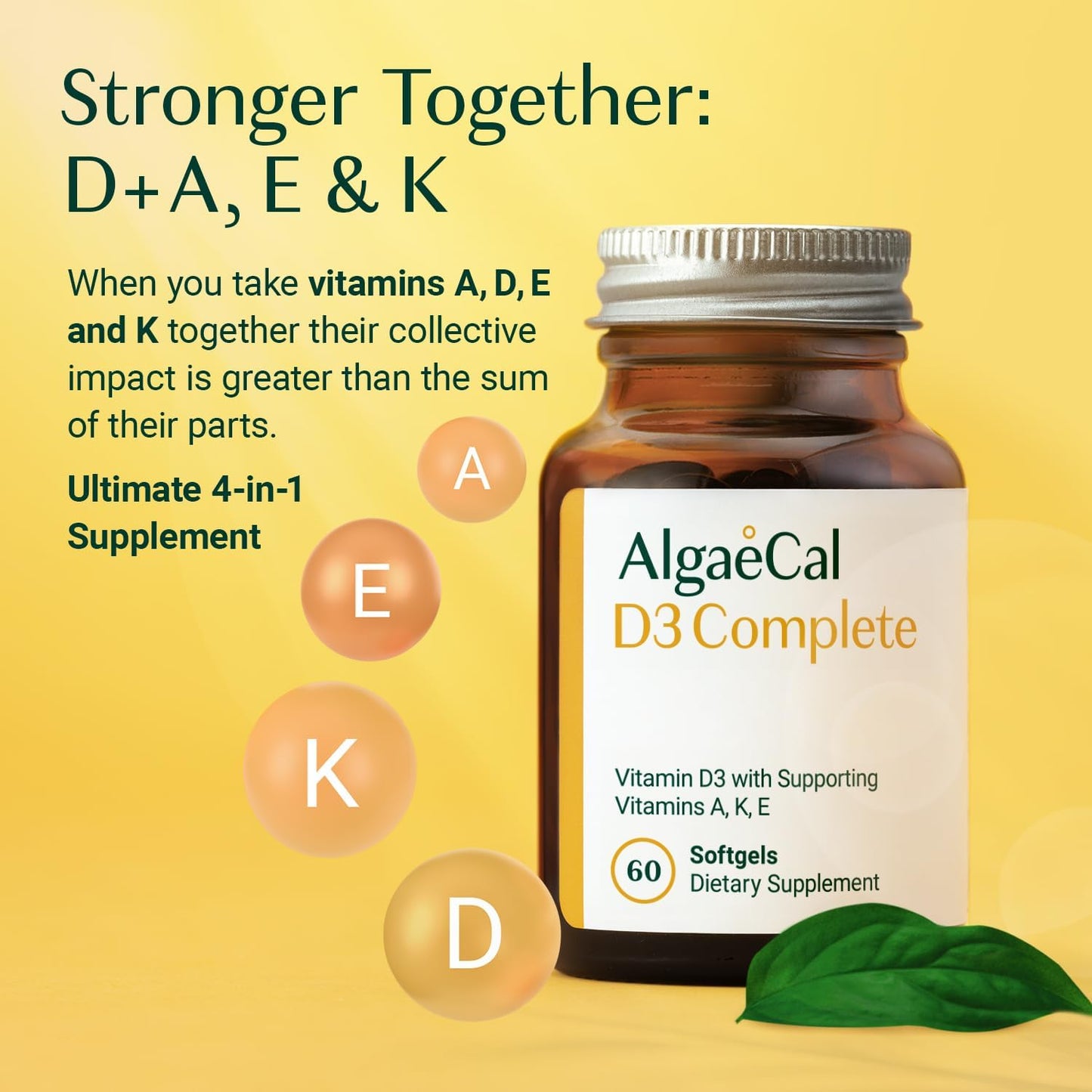 AlgaeCal Plus Bundle: Red Algae Calcium with Vitamin D3 & 16 Nutrients for Bone Health & Immune Support