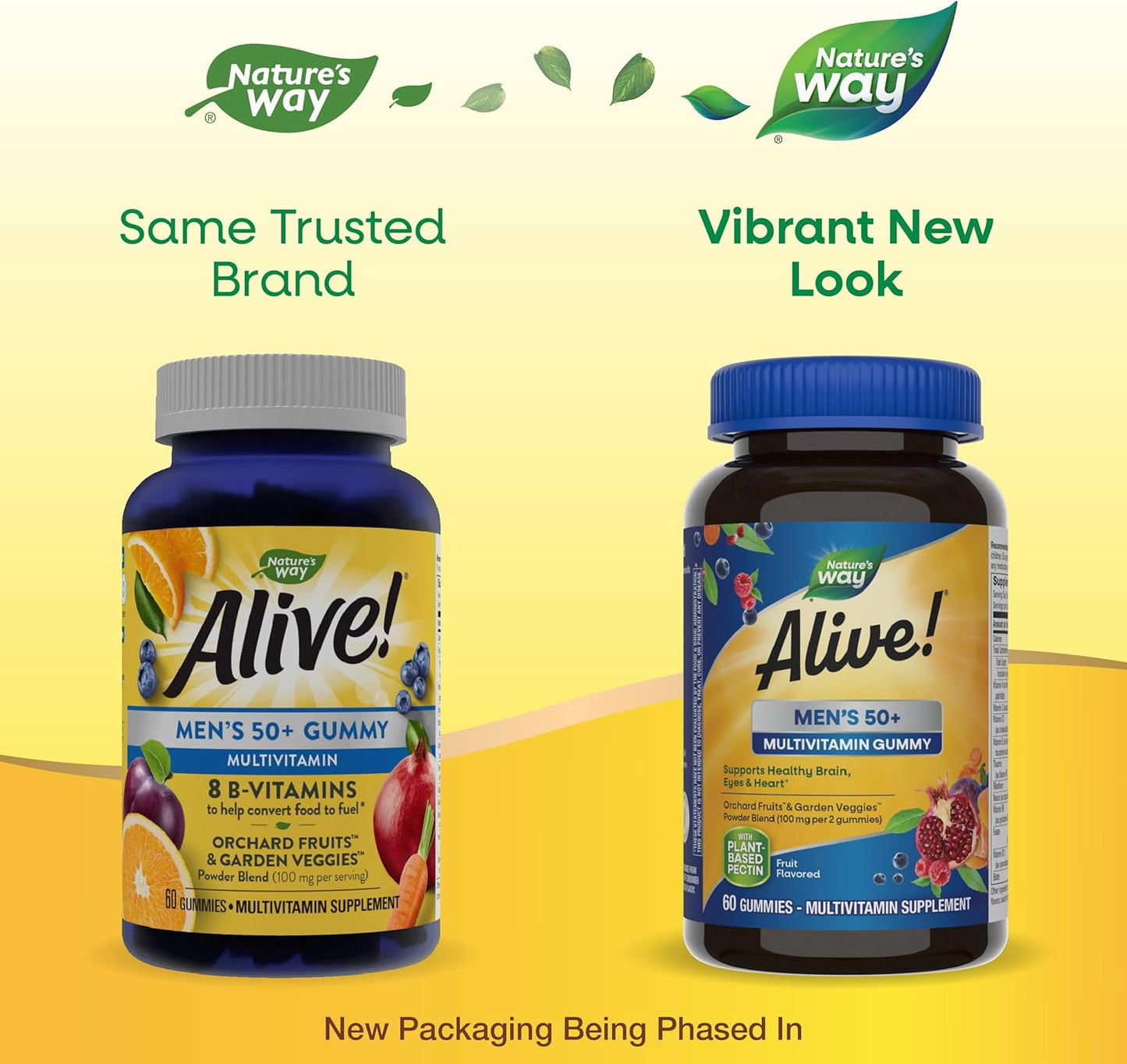 Alive! Men’s 50+ Gummy Multivitamins - Supports Brain, Eyes, Heart - B-Vitamins - Gluten-Free - Vegetarian - Fruit Flavored - 60 Gummies