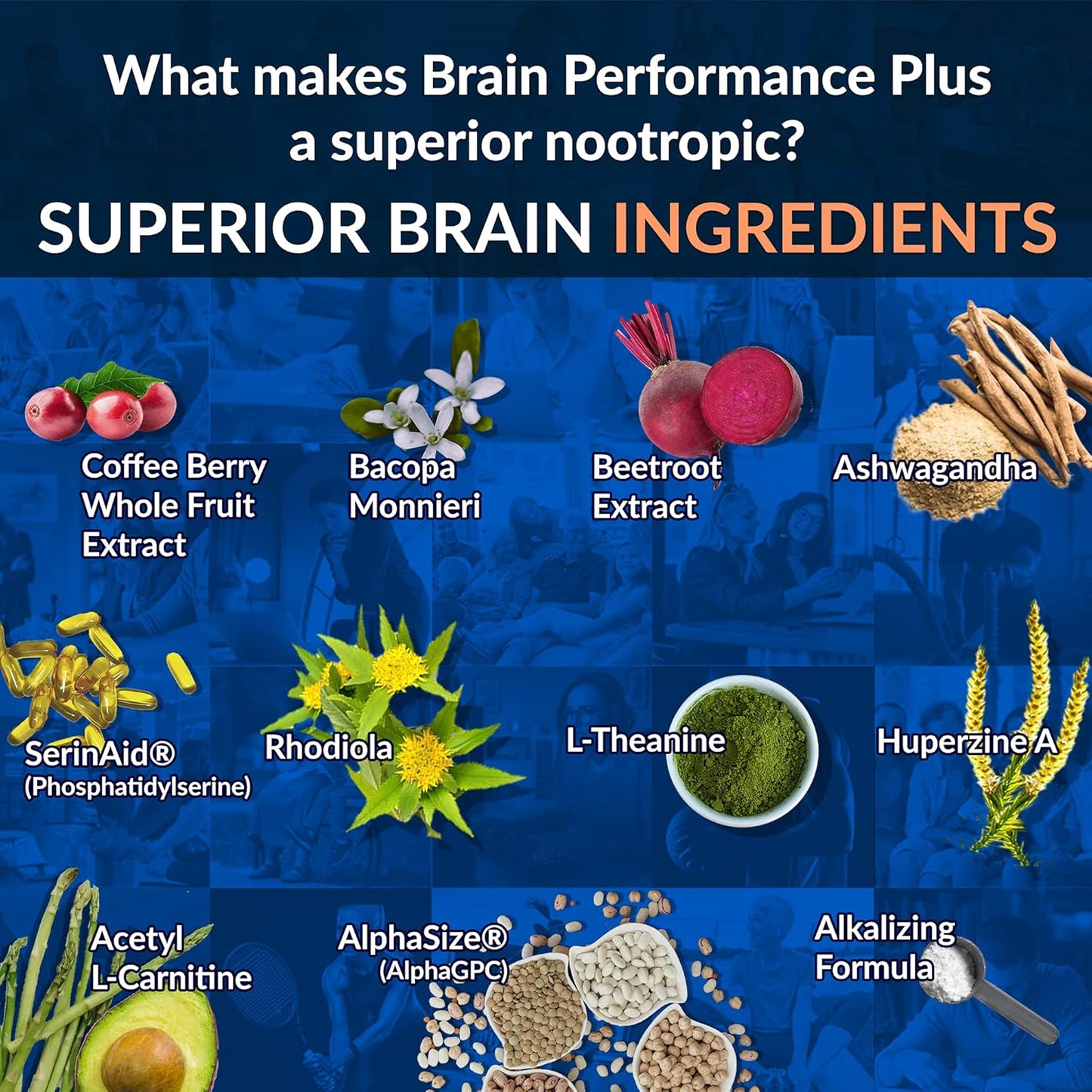Alkalife Brain Performance Plus: Alkaline Nootropic for Cognitive Boost and Brain Health - 10oz