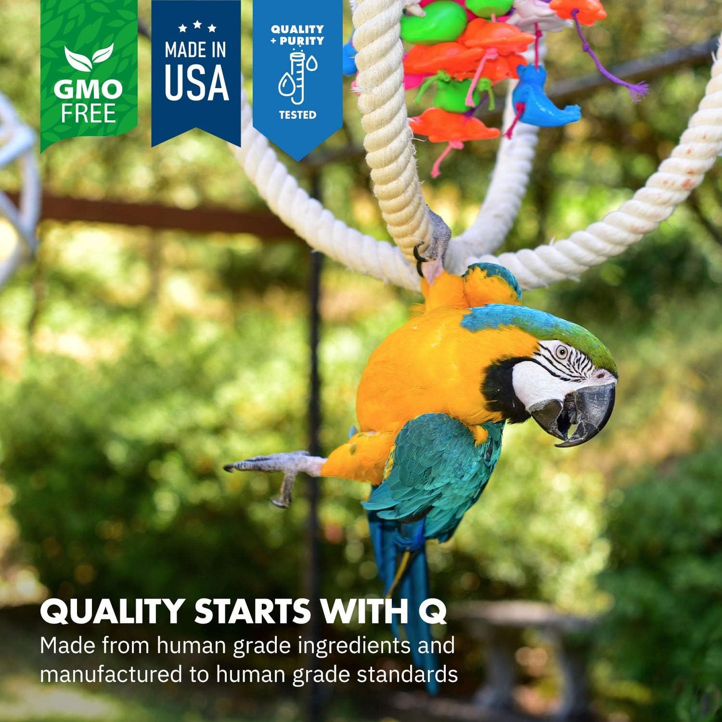 All-Natural Avian Liver Support Supplement for Parrots - Milk Thistle & Dandelion Root Formula (120 Servings)