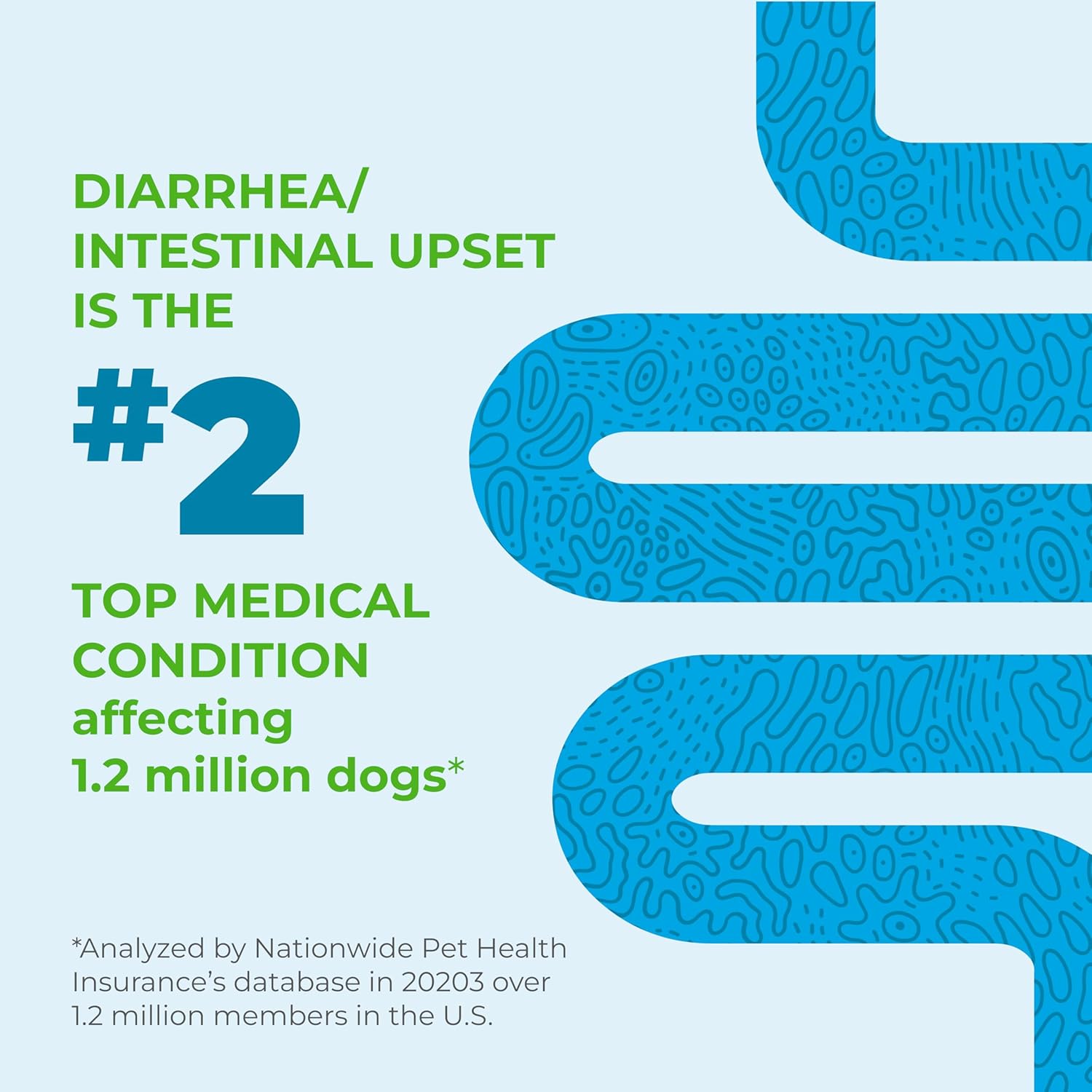 All-Natural Bacon Flavored Dog Probiotic Chews with Enzymes and Prebiotics for Gut Health & Immune Support - 30 Soft Chews