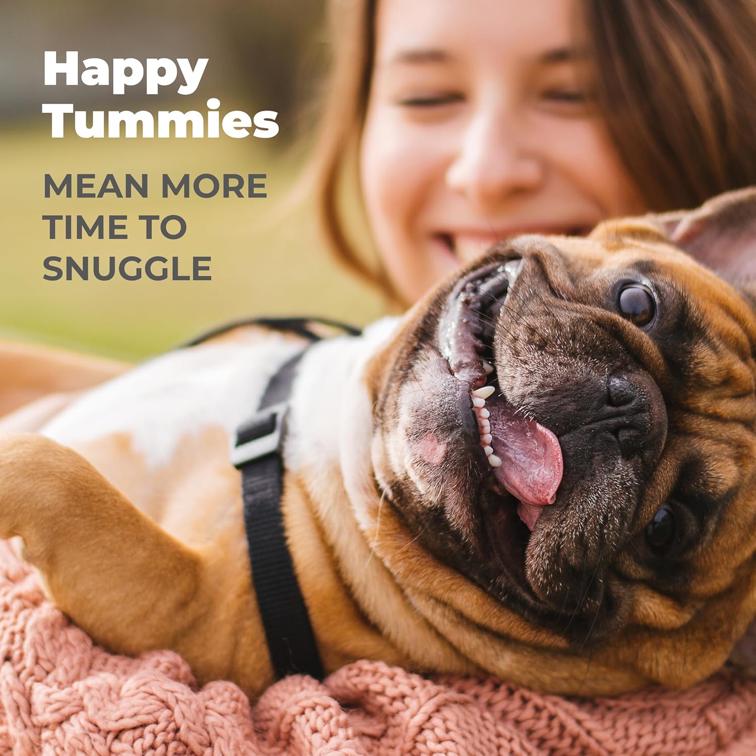 All-Natural Bacon Flavored Dog Probiotic Chews with Enzymes and Prebiotics for Gut Health & Immune Support - 30 Soft Chews