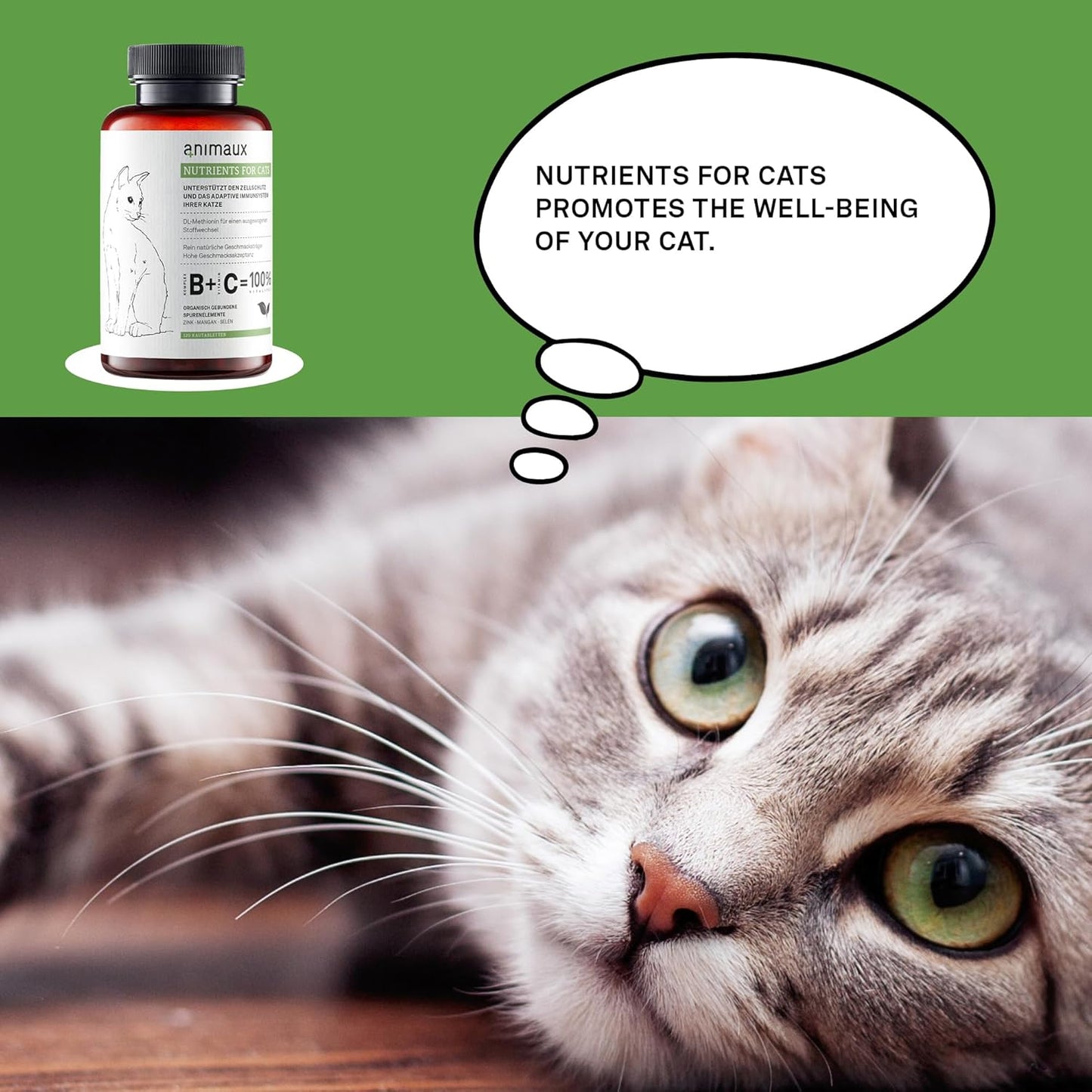 All-Natural Cat Vitamins for Strengthening Immune System & Healthy Skin - 120 Chewable Tablets