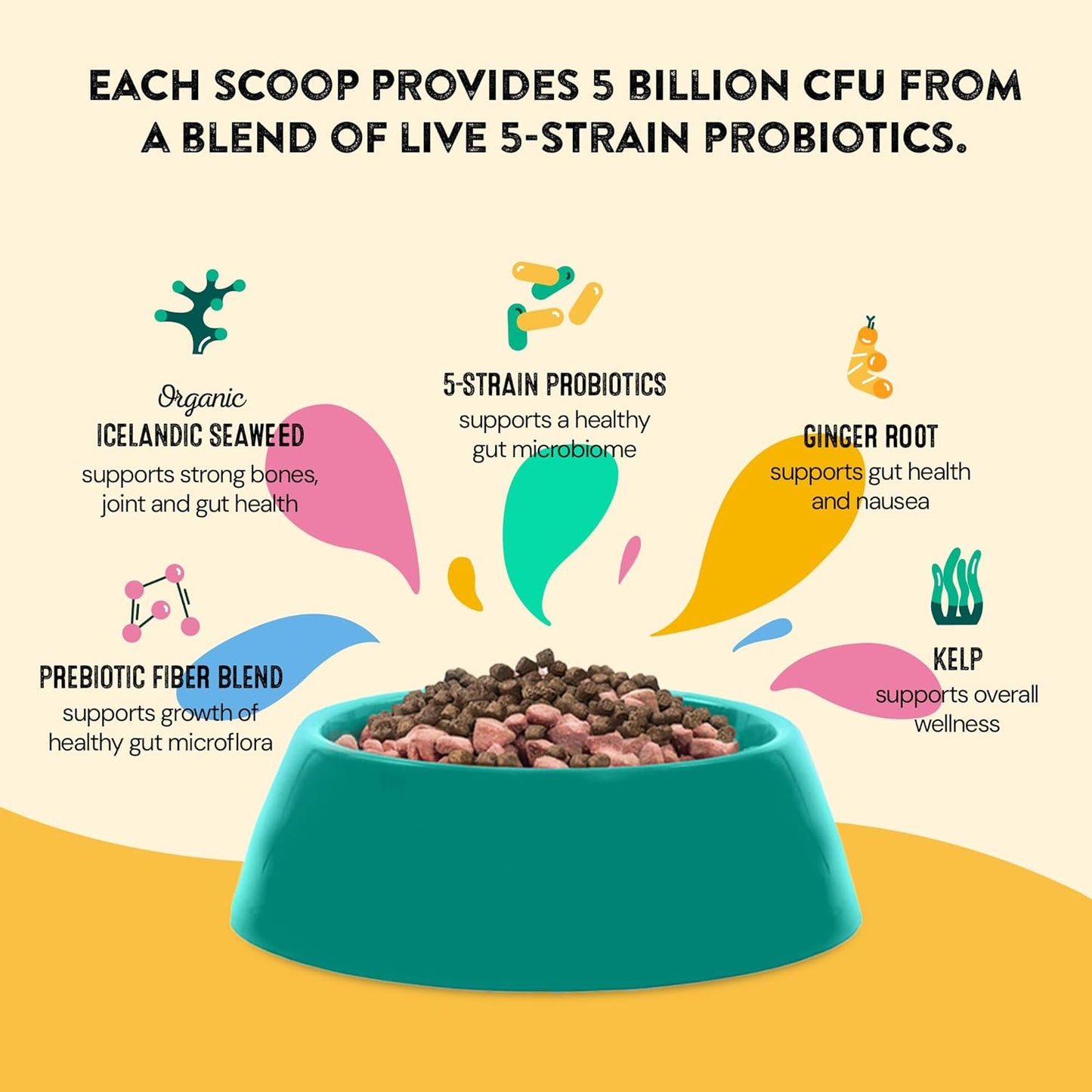 All Natural Dog Gut Health Probiotics Supplement | Enhances Digestive Health & Immune Support | Tasty Kibble Topper | 60 Count Pack