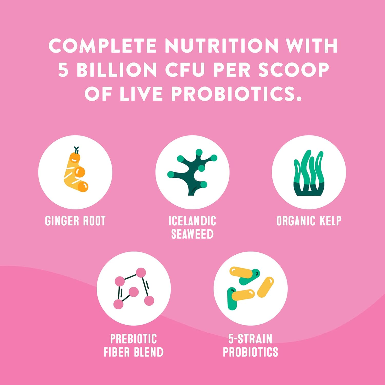 All-Natural Dog Gut Health Probiotics Supplement for Digestive Health and Immune Support - 21 Count Pack