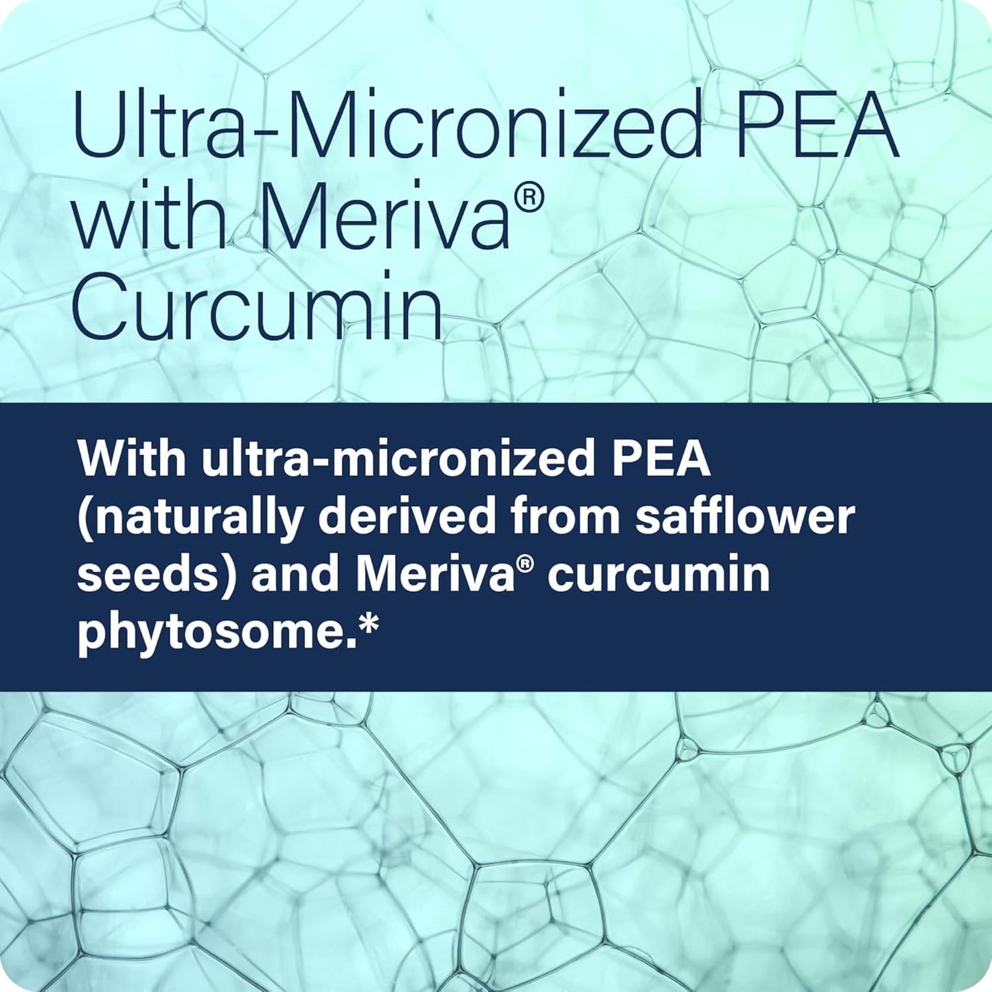 All-Natural Enzyme Science Pea+ Capsules with Meriva Curcumin - Supports Nervous, Immune, & Muscular Systems - 60 Count