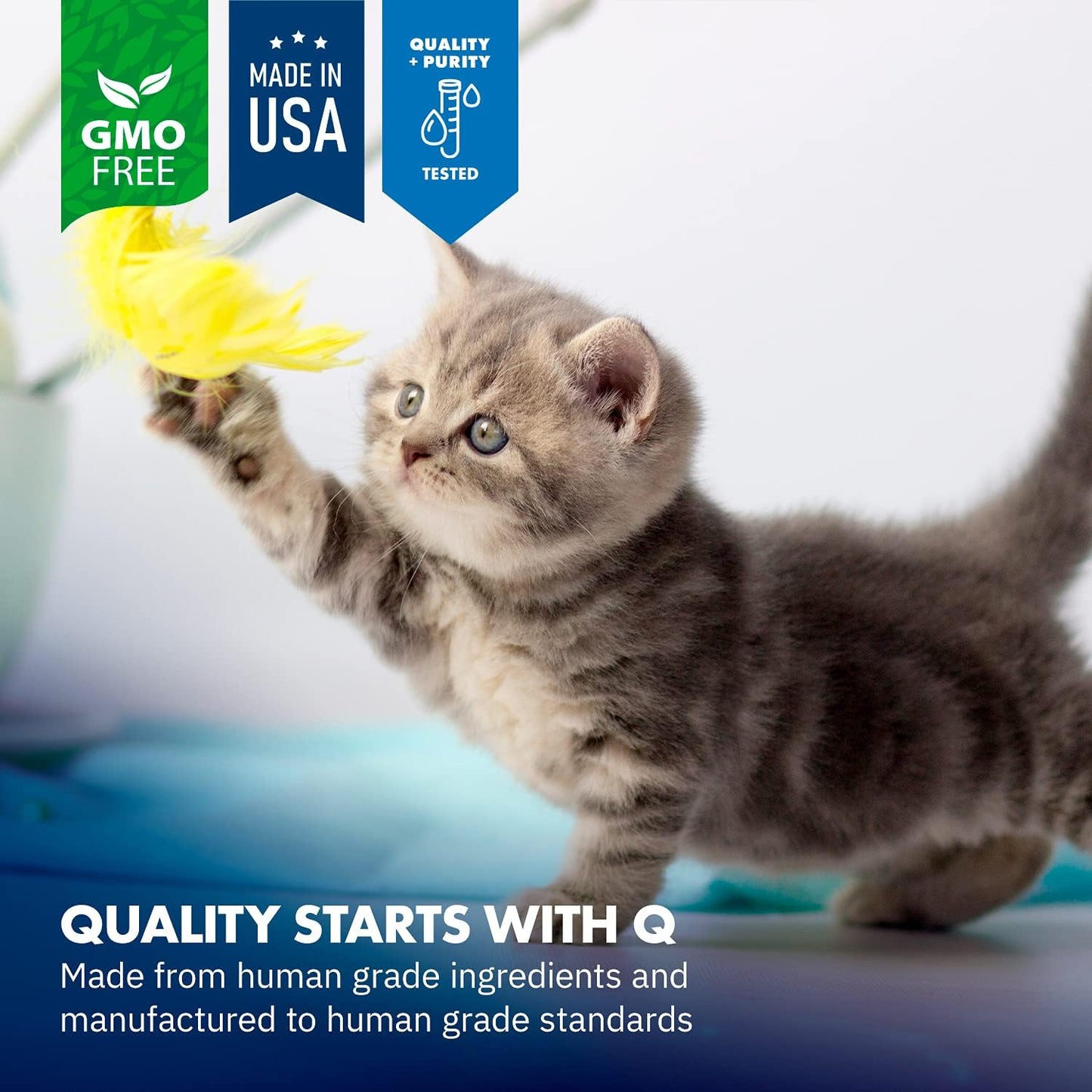 All-Natural Feline Probiotics and Enzymes Dietary Supplement for Digestive Health (120 Servings) by Equa Holistics Total Digest™