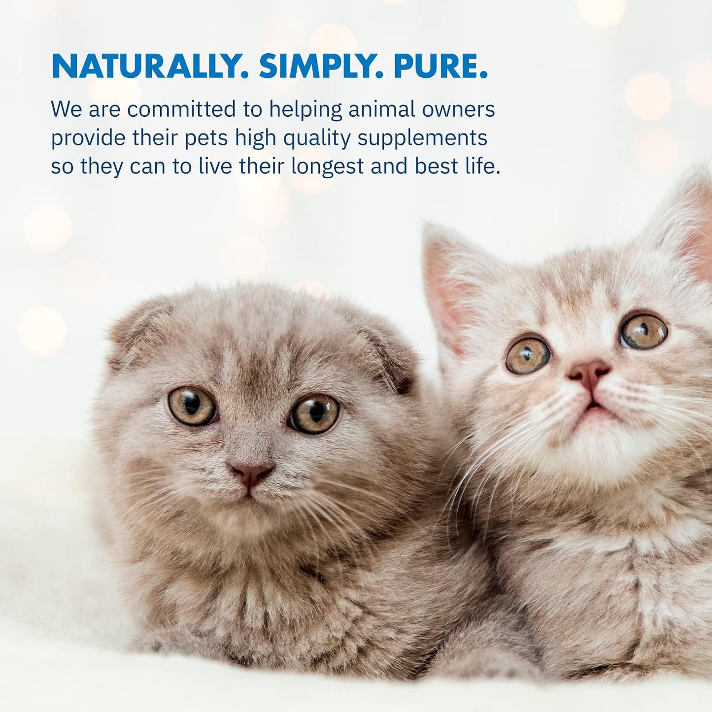 All-Natural Feline Probiotics and Enzymes Dietary Supplement for Digestive Health (120 Servings) by Equa Holistics Total Digest™