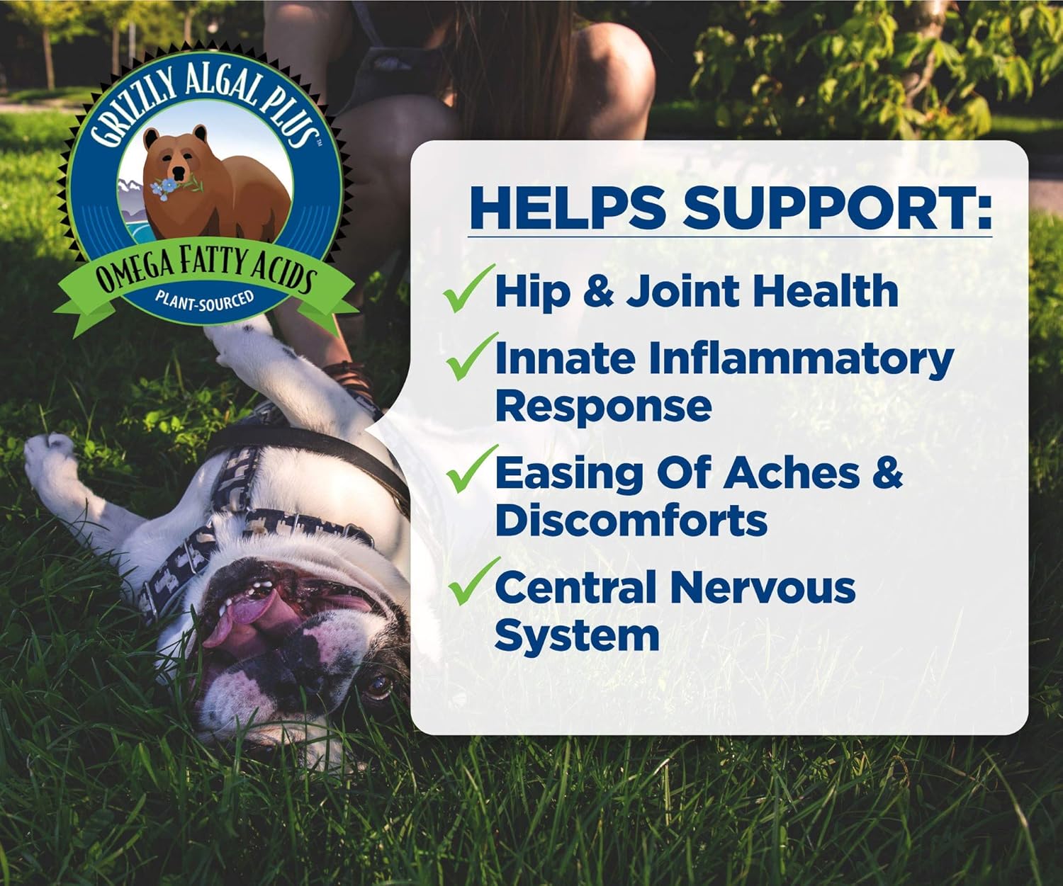 All-Natural Grizzly Algal Plus Omega Fatty Acids Supplement for Dogs & Cats - Vegan, Made in USA, 16 Fl Oz