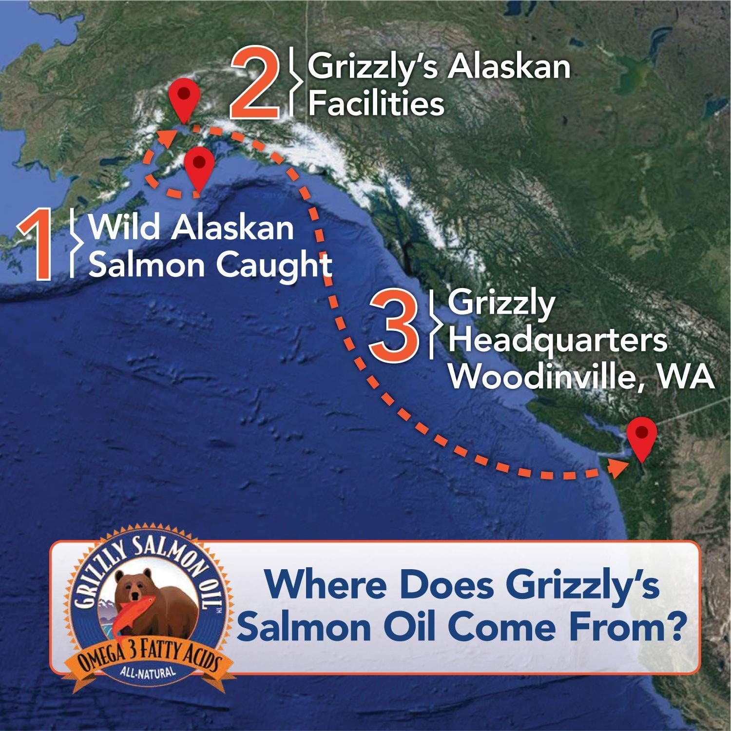 All-Natural Grizzly Salmon Plus Omega Fatty Acids Food Supplement for Dogs & Cats - Wild Alaskan Salmon Oil - Various Sizes