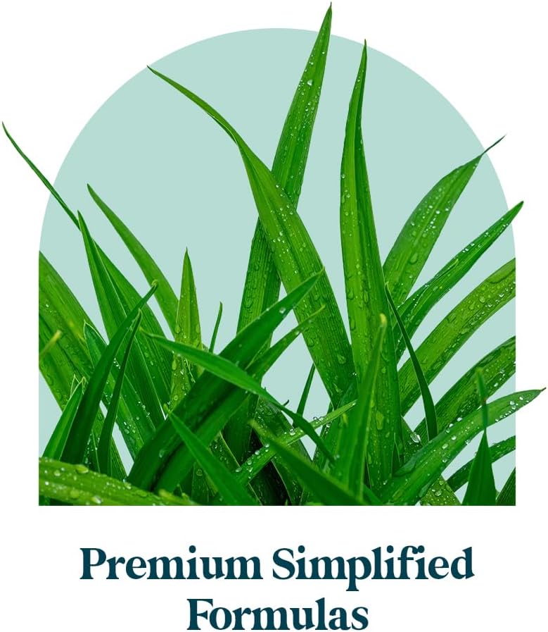 All-Natural Healthy Aging Bundle with CoQ10, Resveratrol, and Cognitive Complex - Vegan-Friendly Formula for Timeless Health & Wellness - 3 Pack