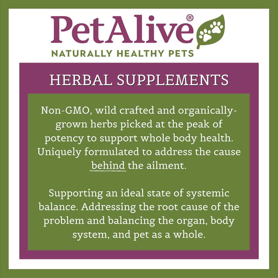 All-Natural Herbal Kidney Support Supplement for Cats and Dogs - Promotes Healthy Kidney & Urinary Function - 59 mL