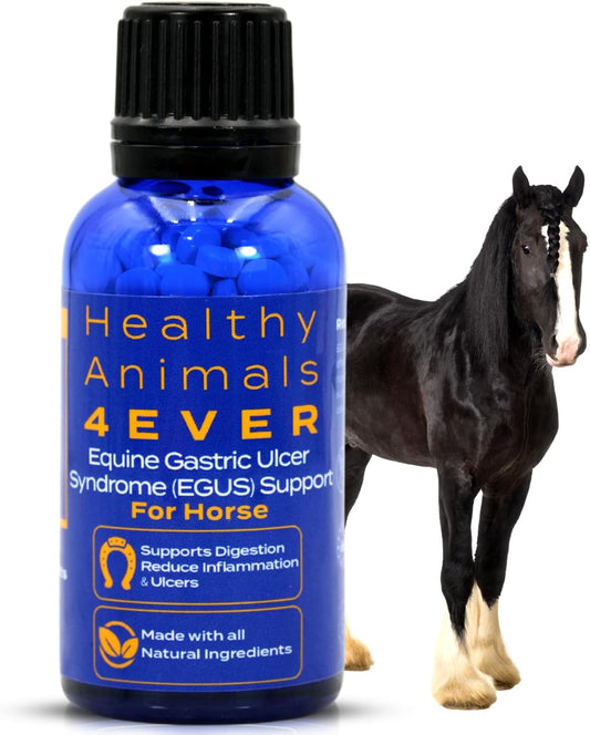 All-Natural Horse Gastric Ulcer Support - Reduces Ulcers & Stomach Issues - Homeopathic Supplements - 300 Tablets