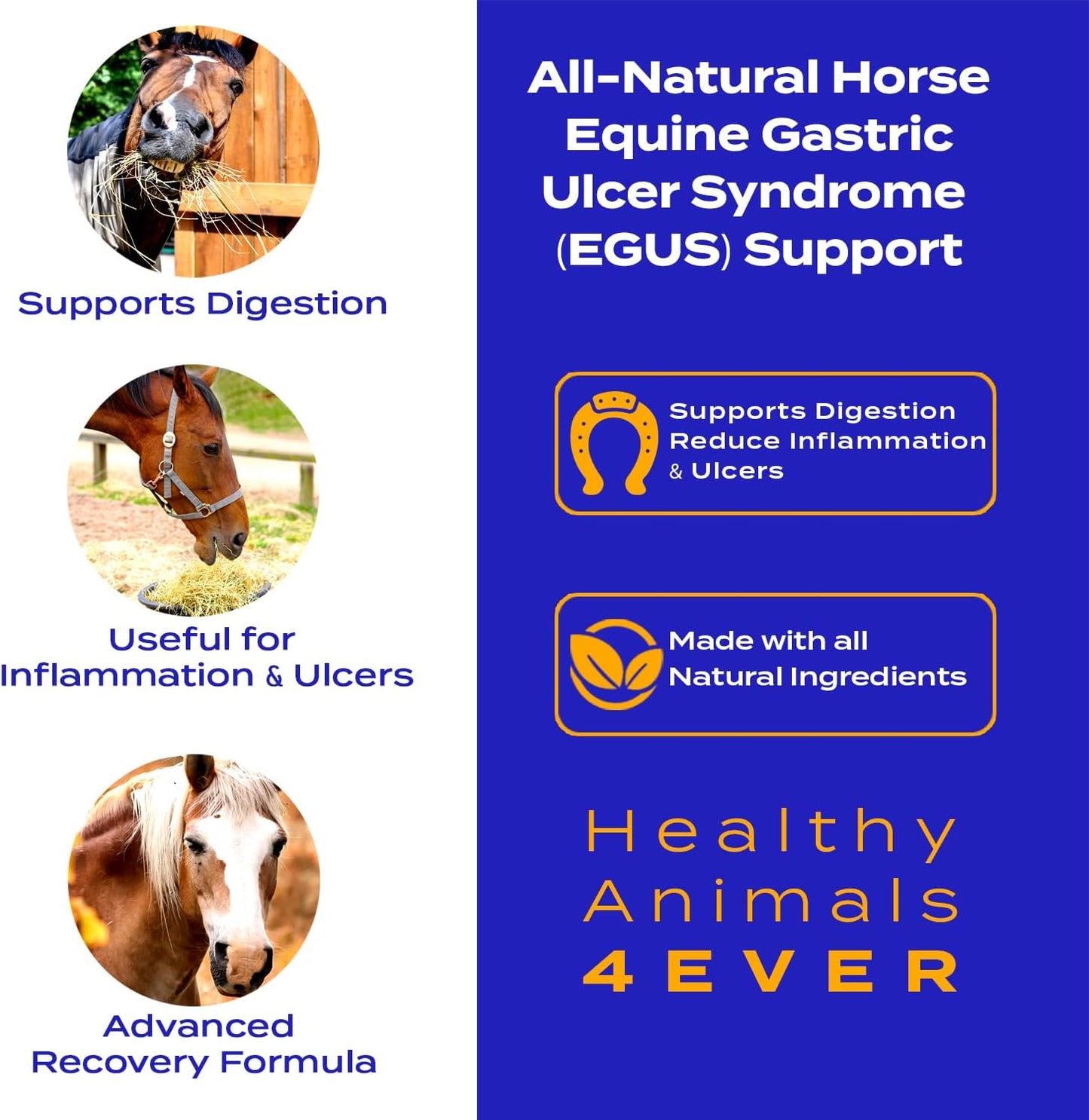 All-Natural Horse Gastric Ulcer Support - Reduces Ulcers & Stomach Issues - Homeopathic Supplements - 300 Tablets