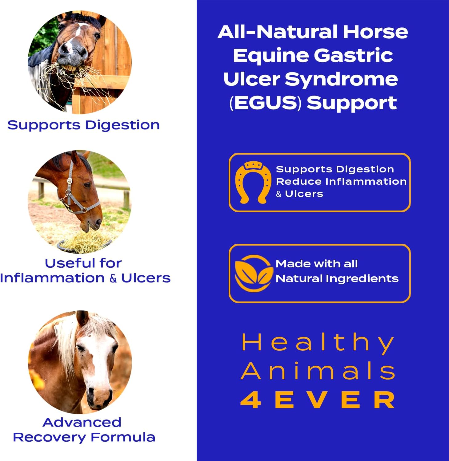 All-Natural Horse Gastric Ulcer Support - Reduces Ulcers & Stomach Issues - Homeopathic Supplements - 300 Tablets