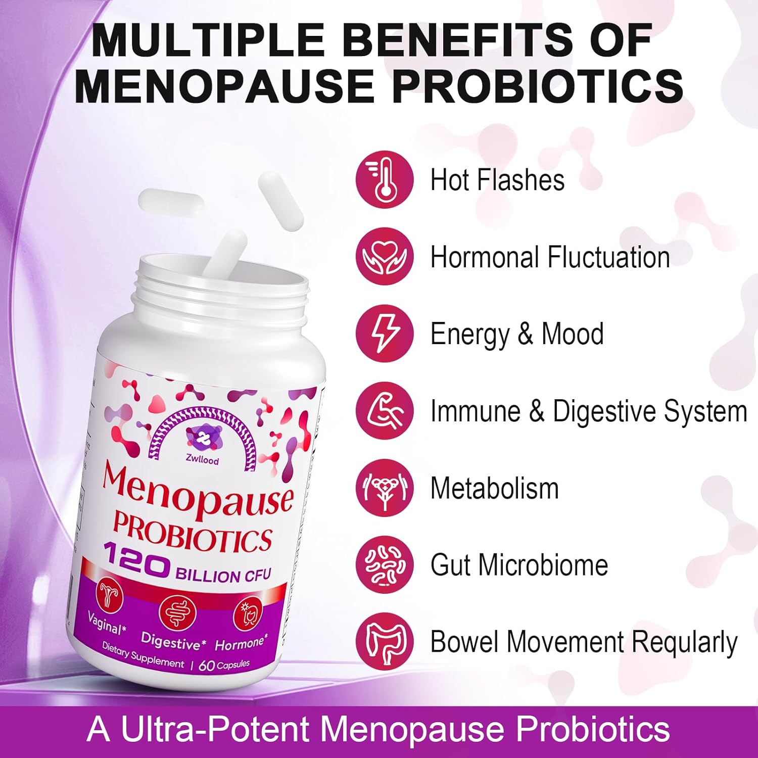 All-Natural Menopause Probiotic Supplements - 120 Billion CFU for Hot Flashes, Night Sweats, Mood Swings - 60 Capsules