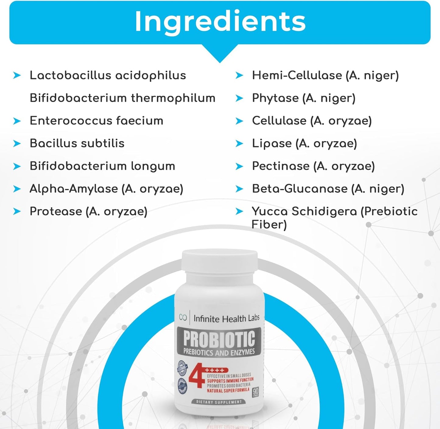 All-Natural Probiotic Supplement Capsules - 90 Easy-to-Swallow Capsules - Relieves Digestive Issues & Boosts Immune System - 2.1 Billion CFUs
