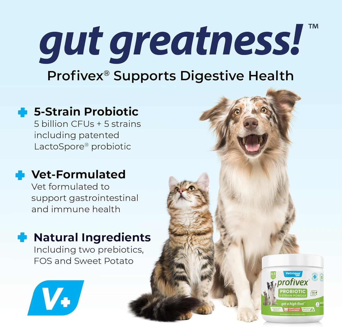 All Natural Profivex Probiotic Supplements for Dogs - Digestive Health Chews & Powder with 5 Strains (8.5oz)