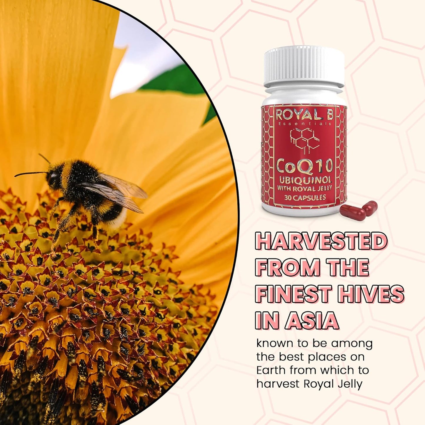 All-Natural Royal B Essentials Co-Enzyme Q10 Capsules for Heart Health & Immune Defense - 3,000mg Veggie Caps - Made by Bees