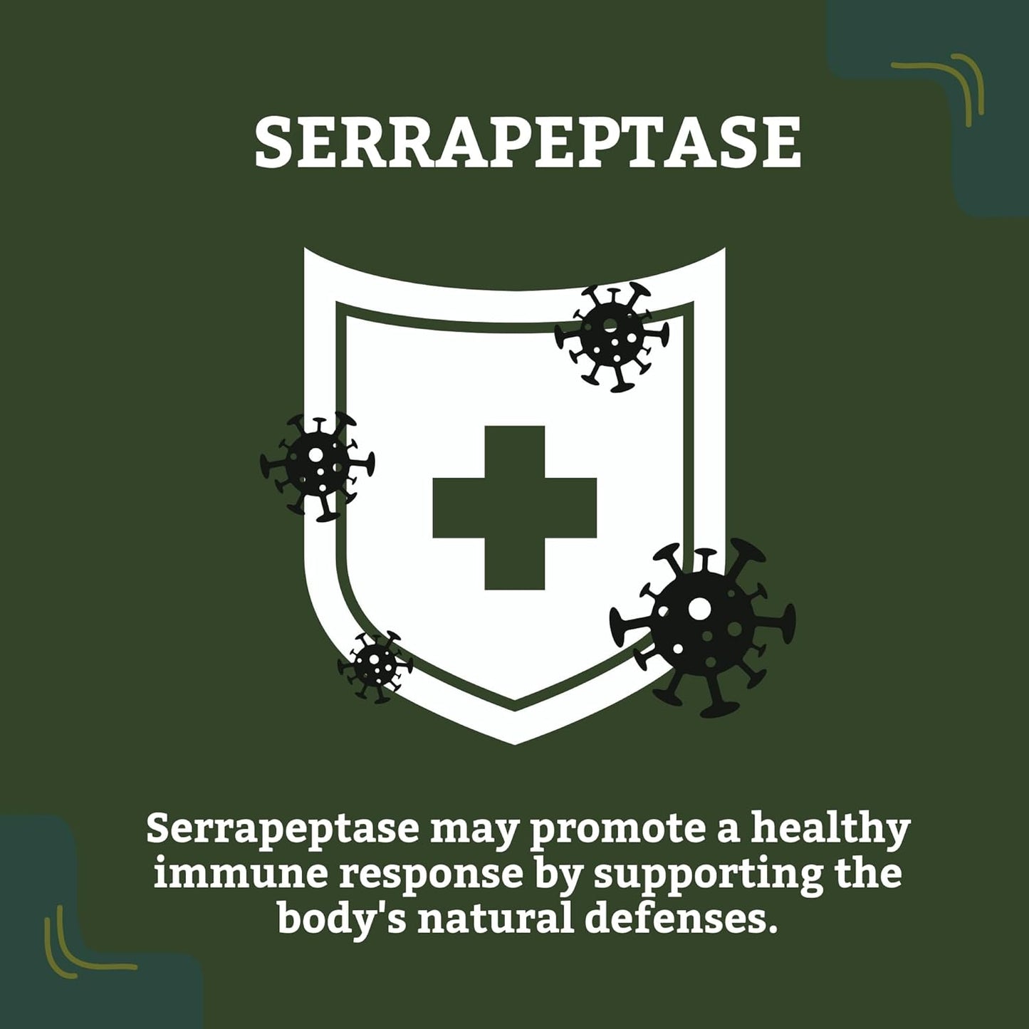 All-Natural Serrapeptase 40000 SPU Supplement for Sinus, Respiratory, and Joint Health - Non-GMO, Gluten Free, 100% Vegetarian - 90 Capsules