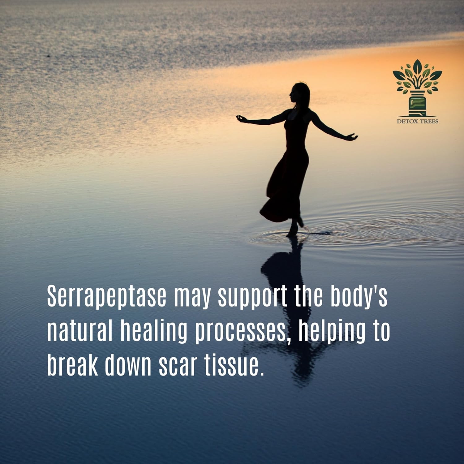 All-Natural Serrapeptase 40000 SPU Supplement for Sinus, Respiratory, and Joint Health - Non-GMO, Gluten Free, 100% Vegetarian - 90 Capsules